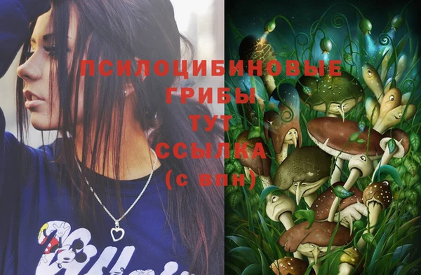 дмт Покров