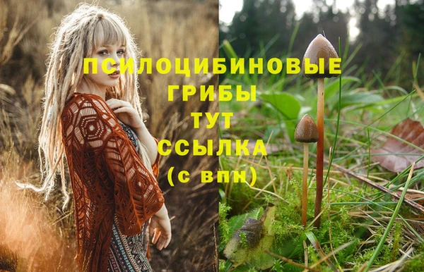 метамфетамин Покачи