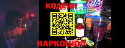индика Камышлов