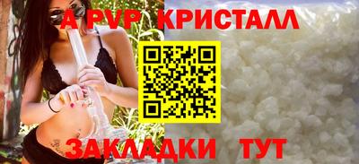 индика Камышлов