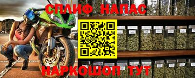 индика Камышлов