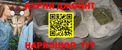 индика Камышлов