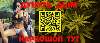индика Камышлов