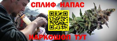 индика Камышлов