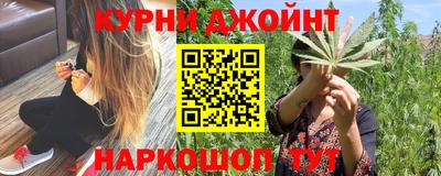 индика Камышлов