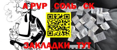 индика Камышлов