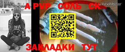 индика Камышлов