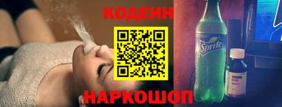 индика Камышлов