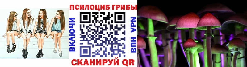Псилоцибиновые грибы GOLDEN TEACHER  Лосино-Петровский 