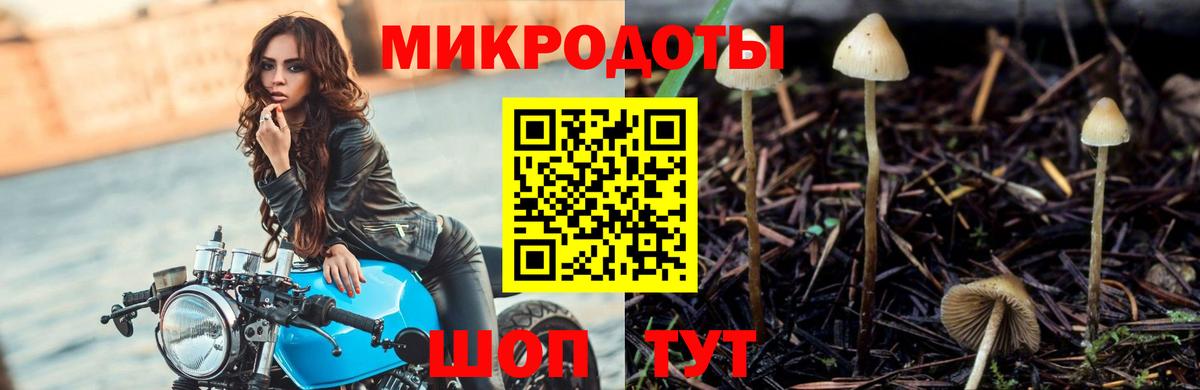 Псилоцибиновые грибы мухоморы  что такое наркотик  Галлюциногенные грибы прущие грибы  Лосино-Петровский  Вход с VPN 
