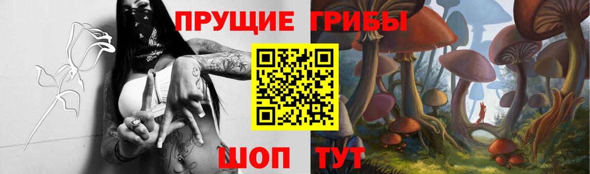 Псилоцибиновые грибы мицелий Лосино-Петровский